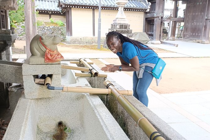 Full-Day Sightseeing to Kyoto Highlights - Why a 7-hour Kyoto highlights walk works