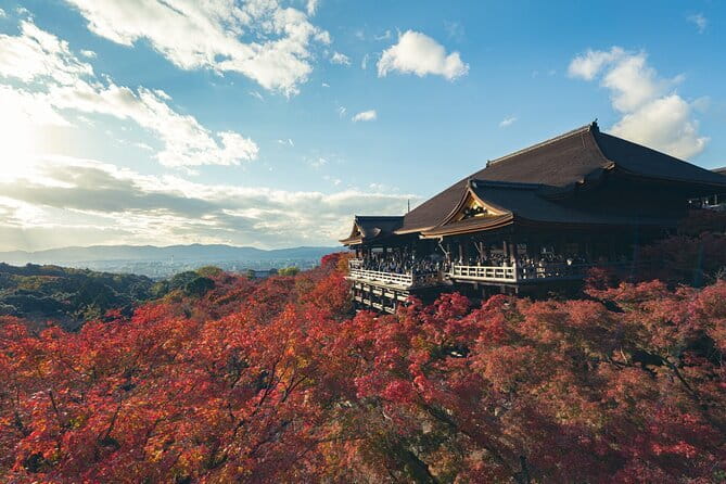 Full Day Tour of Kyoto with Private Transportation - What This Private Kyoto Day Really Gets You
