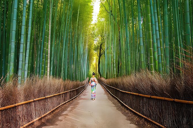 Fushimi Inari - Arashiyama: Torii Gates, Bamboo, Monkeys & Secret - Iwatayama Monkey Park, the Uphill Hike That Pays Off
