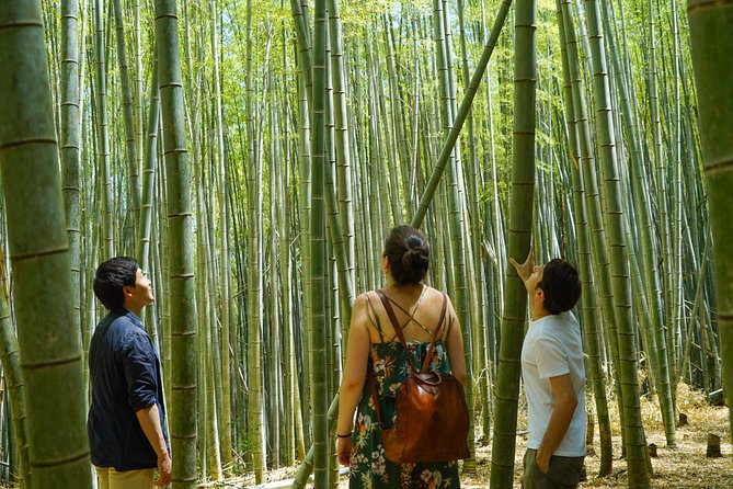 Fushimi Inari Hidden Hiking Tour (Private Option Available) - Why this Fushimi Inari hike beats the usual route