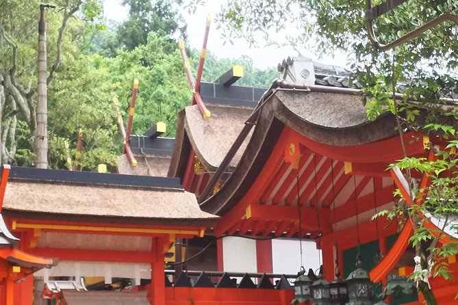 Fushimi Inari & Nara Highlights Walking Tour - Kasuga Grand Shrine: 3,000 Lanterns and a Lot of Photo Angles