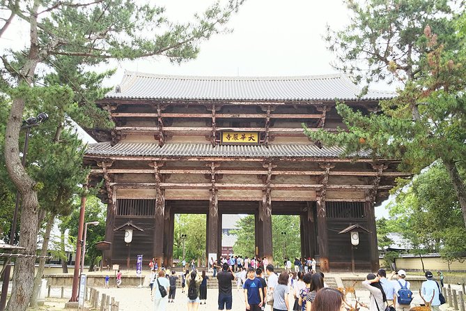 Fushimi Inari & Nara Highlights Walking Tour - Kyoto to Nara in a Day: The Train Part That Makes It Work