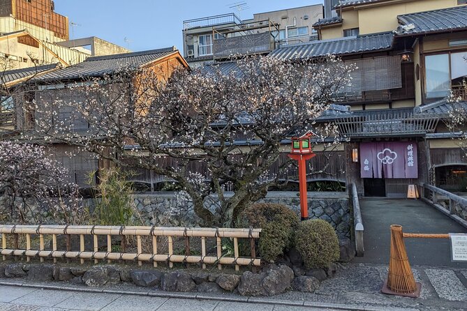 Gion Nocturno: Secretos y Leyendas de las Geishas - Meeting point, timing, and how the route is paced