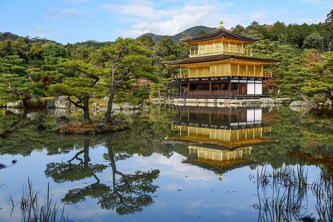 Guided Kyoto City Cherry Blossom One Day Private Tour - Price and value for a private Kyoto day