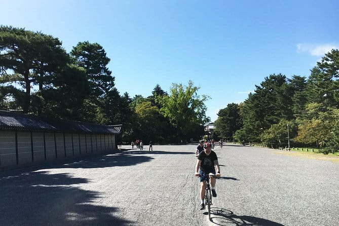 Guided Kyoto City Cherry Blossom One Day Private Tour - Stop 3, Kiyomizu-dera wooden stage and the Otowa Waterfall