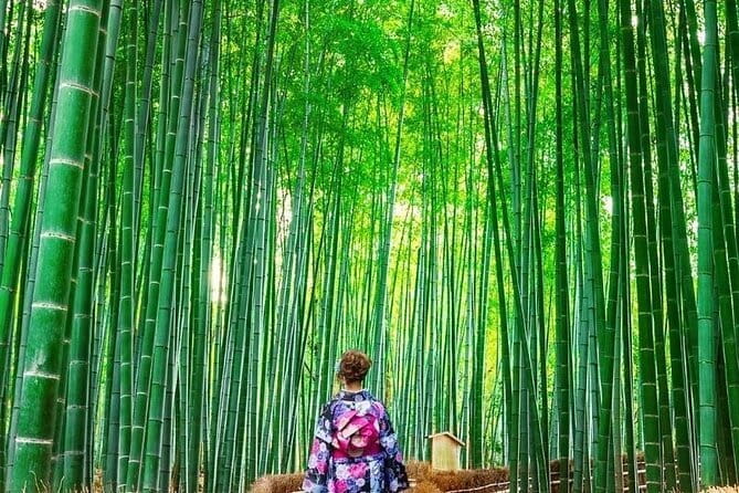 Guided Kyoto City Cherry Blossom One Day Private Tour - Stop 4, Fushimi Inari Taisha torii tunnels on Mount Inari