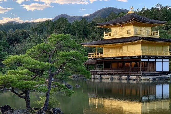 Guided Kyoto City Cherry Blossom One Day Private Tour - Starting at Kyoto Station, then moving comfortably all day