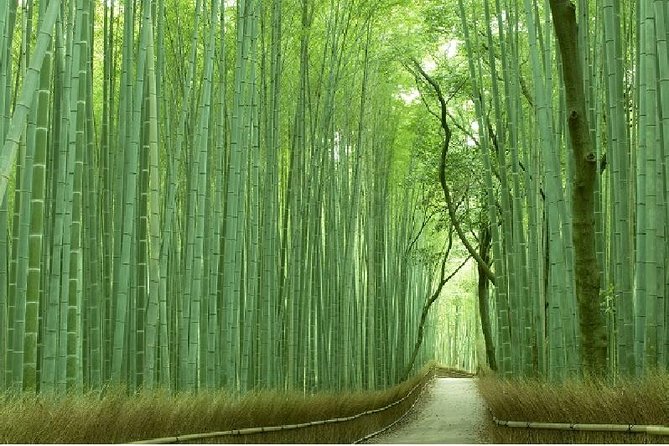 Half Day Kyoto Sagano Bamboo Grove & Arashiyama Walking Tour - Key Things That Make This Tour Worth Your Time