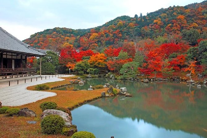Half Day Kyoto Sagano Bamboo Grove & Arashiyama Walking Tour - Sagano Bamboo Grove: The Quickest Way to Feel Kyoto’s Quiet Side