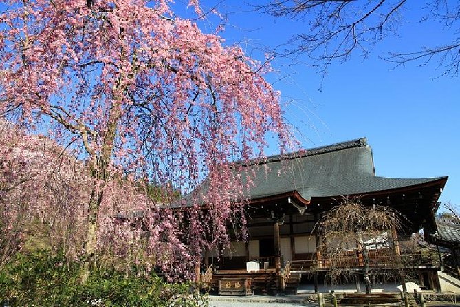 Half Day Kyoto Sagano Bamboo Grove & Arashiyama Walking Tour - Tenryu-ji Temple: Where the Garden Is the Whole Point