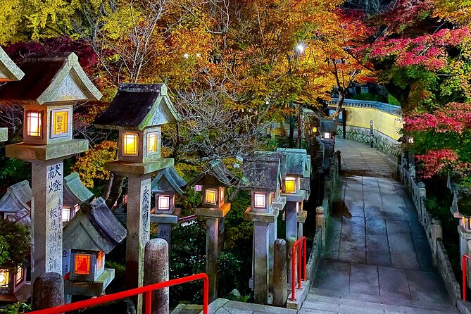 Hidden Gems of Osaka Kyoto Nara - Private Car Tour by Local Guide - Shingisan Chogosonshiji Temple at Night: Lantern Paths and a Dreamy Final Act