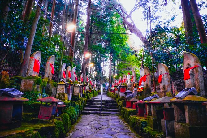 Hidden Gems of Osaka Kyoto Nara - Private Car Tour by Local Guide - Price and Value: Is $248.22 a Smart Deal for This Route?