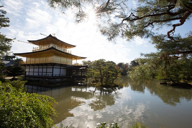 Hidden Kyoto E-Biking tour - Folding bikes, small group size, and why 8 people feels just right