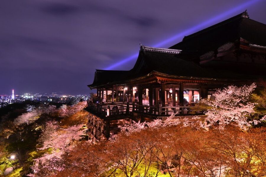 Higashiyama | Kyoto: Sakura Season Private Rickshaw Tour - Key Things to Know Before You Go