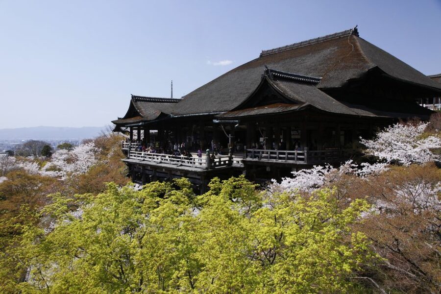 Higashiyama | Kyoto: Sakura Season Private Rickshaw Tour - How Long Should You Book: 70 Minutes vs 120 Minutes?
