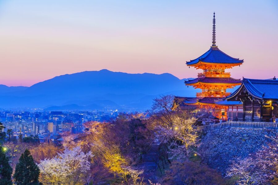 Higashiyama | Kyoto: Sakura Season Private Rickshaw Tour - Price and Value: What $125 per Group Actually Covers