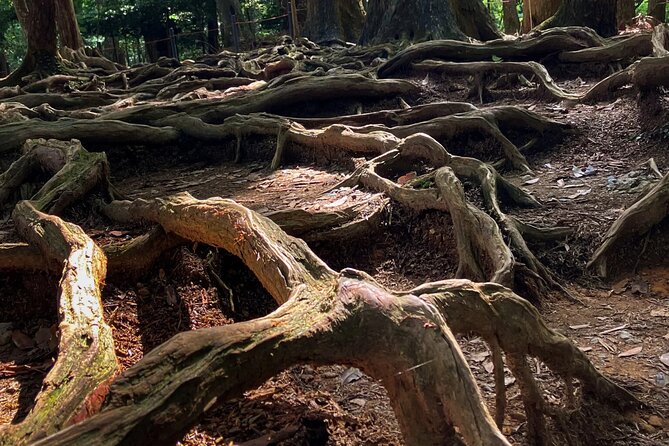 Hike and explore the Kurama and Kibune ancient Paths - Kibune River descent and Kifune Shrine: rain goddess worship and water-activated omikuji