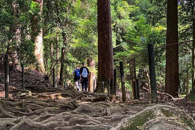 Hike and explore the Kurama and Kibune ancient Paths - Kurama-dera Temple: start with panoramic views and stone guardians
