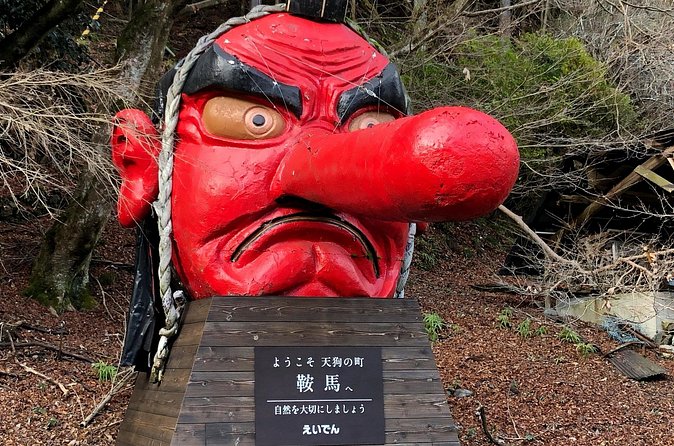 Hiking Tour for Sacred Sites in Kyoto with a Guide - Price and what you actually get for $250