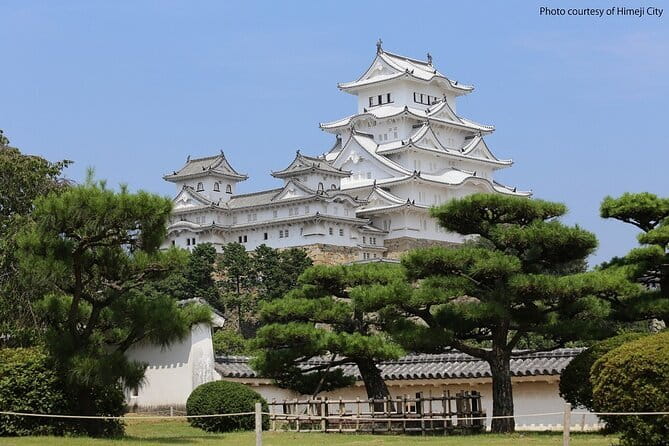 Himeji Castle and Akashi Kaikyo Bridge Walking Tour from Kyoto - Key things that make this tour work