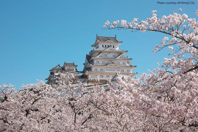 Himeji Castle and Akashi Kaikyo Bridge Walking Tour from Kyoto - Price and value: what $252.90 buys you in real terms