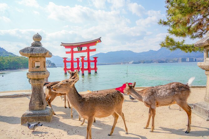 Hiroshima and Miyajima Full-Day Tour from Kyoto by Bullet Train - Moving back to Hiroshima: getting to Peace Memorial Park
