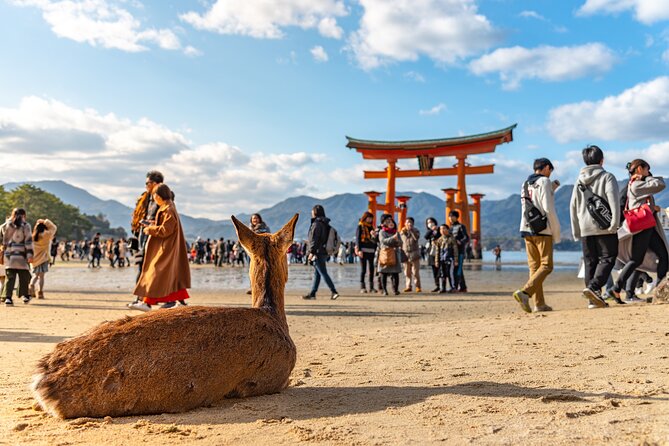 Hiroshima and Miyajima Full-Day Tour from Kyoto by Bullet Train - Miyajima Island: torii gate views, deer encounters, and shrine time