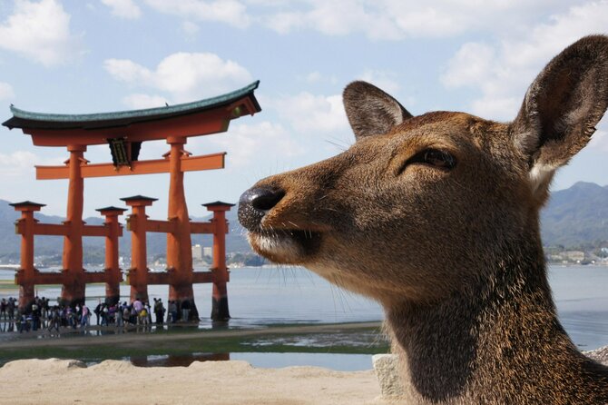 Hiroshima, Miyajima 1 Day Bus with Indian Lunch from Osaka, Kyoto - Hiroshima’s core stops: Atom Bomb Dome and Peace Memorial Museum