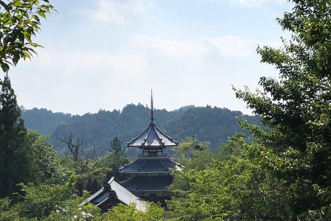 Historic and Natural Guided Hike in Yoshino - Weather, fitness, and what you should pack for this mountain day