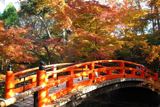 Historical Kyoto E-Bike Tour - Riding etiquette on Kyoto streets with an e-bike