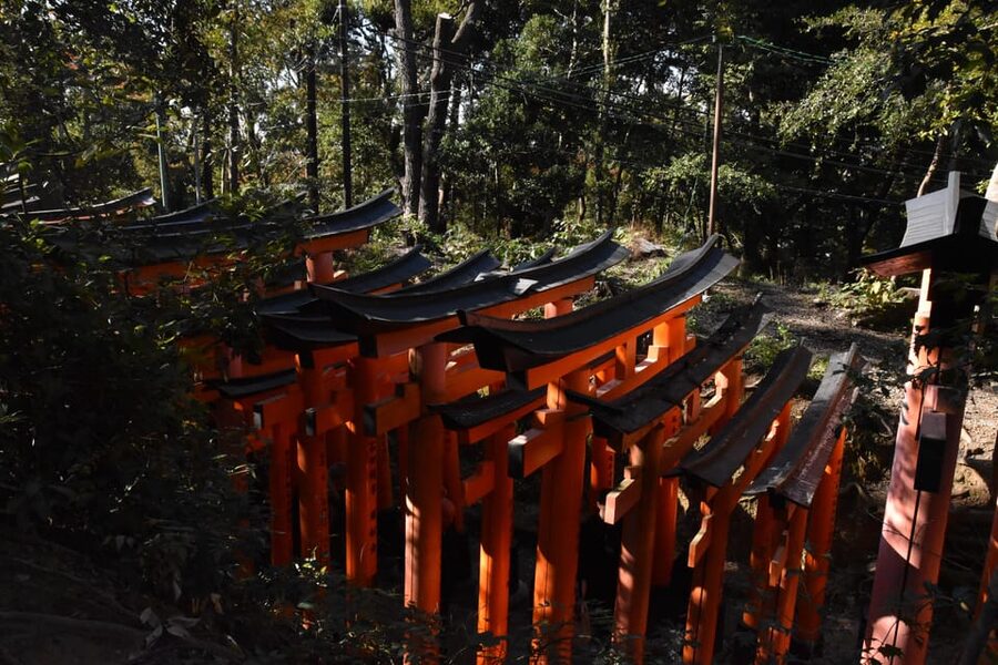 Inside of Fushimi Inari - exploring and lunch with locals - Practical advice: what to wear and bring for stairs and forest air