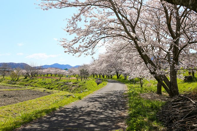 Japan's Rural Life & Nature: Private Half Day Cycling Near Kyoto - Saienji Village Temple Stop: Zen, Chinese Influence, and a Real Community Feel