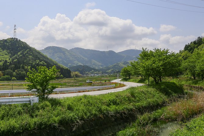 Japan's Rural Life & Nature: Private Half Day Cycling Near Kyoto - Price and Value: What $255 Buys You in Real Terms