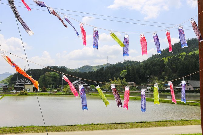 Japan's Rural Life & Nature: Private Half Day Cycling Near Kyoto - When This Rural Bike Tour Works Best (and When It Might Not)