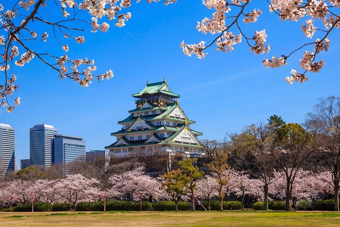 Kansai Airport (KIX) Transfer to Osaka/Kobe/Kyoto/Nara/Wakayama - Where You Go: Osaka, Kyoto, Nara, Kobe, and Wakayama Without the Extra Headaches