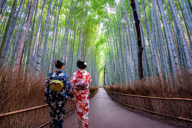 Katsuo-ji Temple, Arashiyama Forest, & Nara Park - Nara Park and the deer: a heartwarming stop with real-world rules