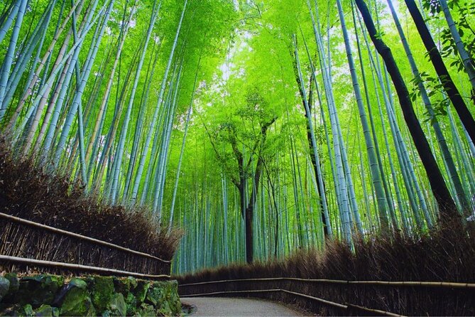 Katsuo-ji Temple, Arashiyama Forest, & Nara Park - Price and value: is $91.65 worth it?