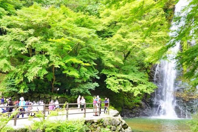 Katsuo-ji Temple, Arashiyama Forest, & Nara Park - Booking gotchas: the kimono add-on issue to double-check