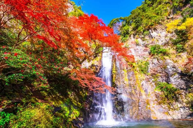 Katsuo-ji Temple, Arashiyama Forest, & Nara Park - So, should you book this Katsuo-ji, Arashiyama, and Nara day trip?