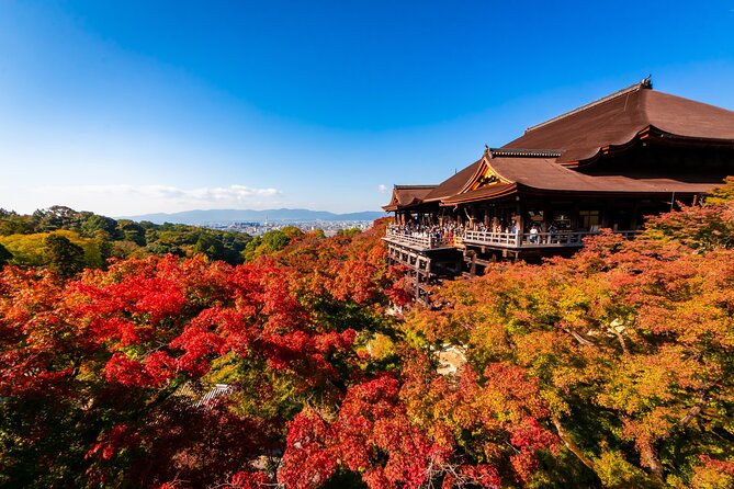 Kiyomizu Temple and Backstreets of Gion, Half Day Group Tour - Key Points That Make This Tour Worth Your Time