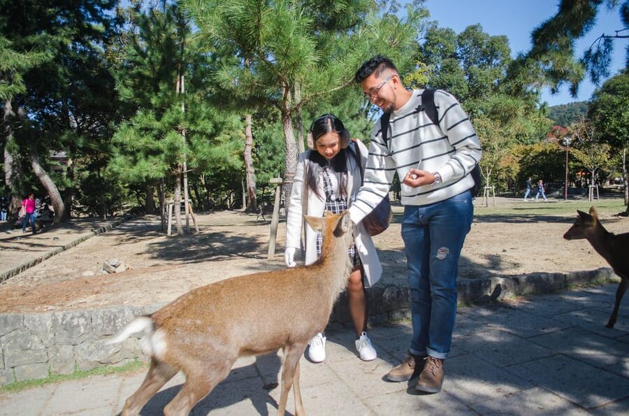 Kobe: Private Walking Shore Excursion- Kyoto/Osaka/Nara/Kobe - Nara Park and Todaiji-style awe, plus deer park chaos you can enjoy