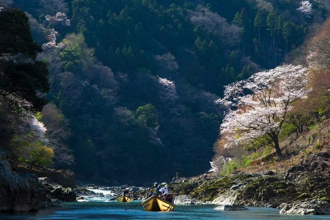 Kyoto 1 Day Suntory Yamazaki Distillery Tour and Asahi Art Museum - Walking Hill Reality Check and Comfort Tips