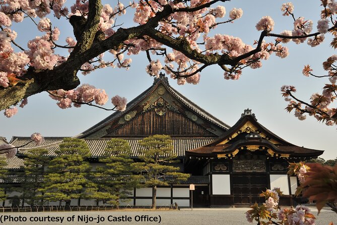 Kyoto 1 Day Tour from Osaka - Key things to know before you go