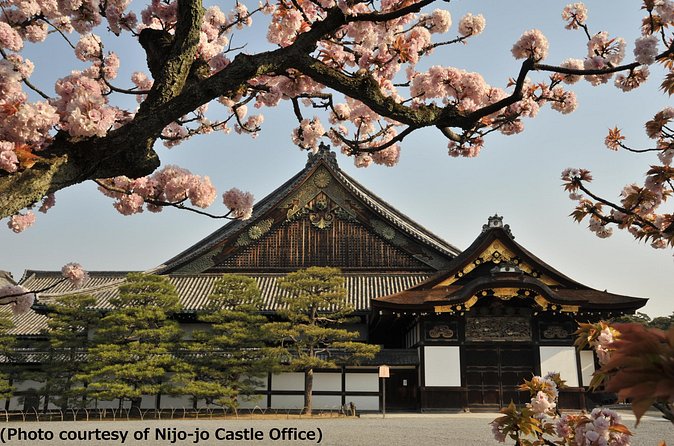 Kyoto 1 Day Tour from Osaka - Sanjusangendo Hall: 1,001 Bodhisattva statues in one long wooden hall