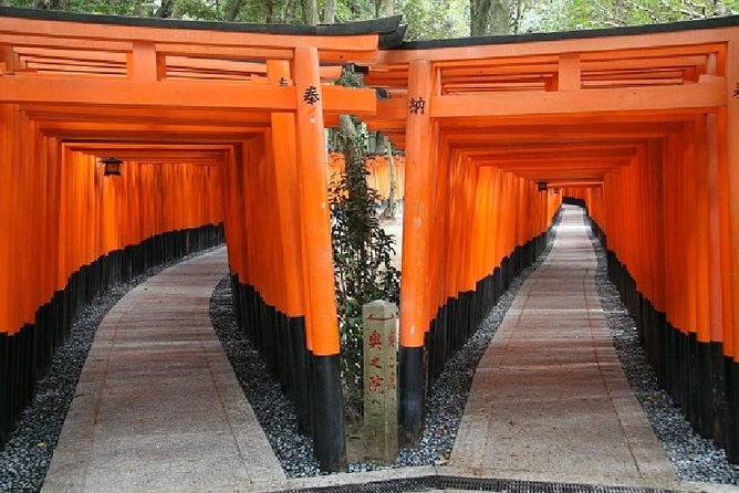 Kyoto 1 Day Tour from Osaka - Stop one: Nijo Castle and its gold-leaf contrast
