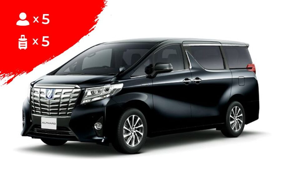 Kyoto: 10-hour Customized Private Tour - The big win: a private car that buys you breathing room