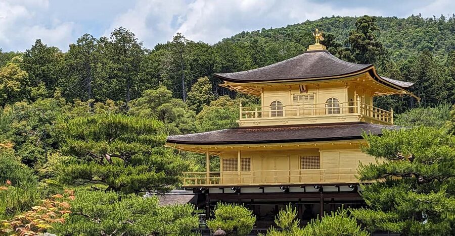 Kyoto: 100% Private Custom Walking Tour (4/8 Hrs) - Key things I’d focus on before you book