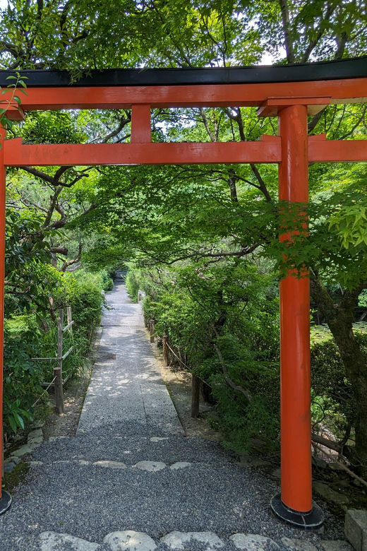 Kyoto: 100% Private Custom Walking Tour (4/8 Hrs) - Arashiyama for real time, not a rushed photo stop