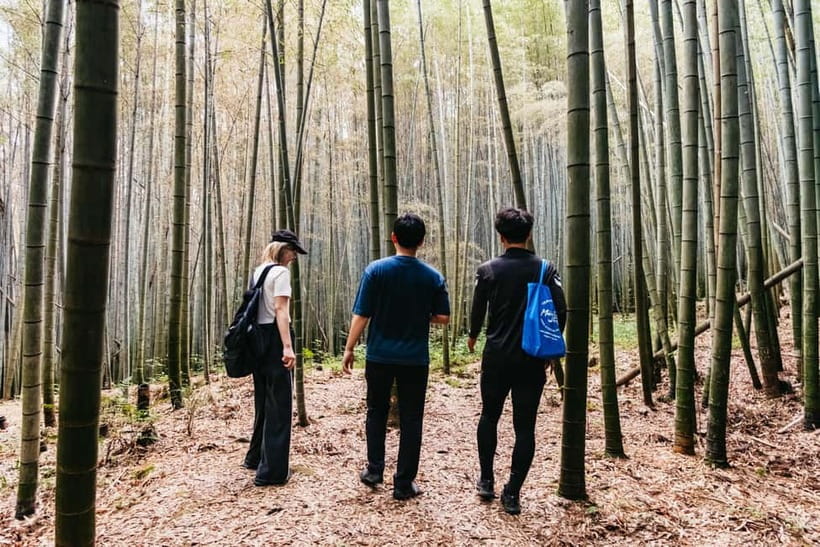 Kyoto: 3-Hour Fushimi Inari Shrine Hidden Hiking Tour - Price and value: why $72 can make sense for Kyoto