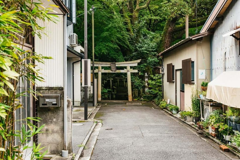 Kyoto: 3-Hour Fushimi Inari Shrine Hidden Hiking Tour - Summit area and the torii altar field
